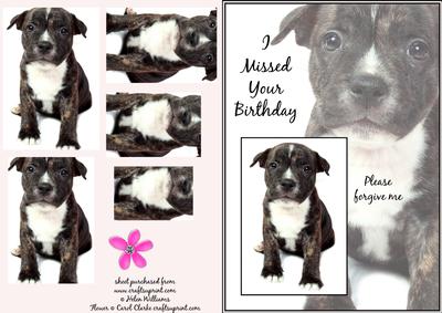 Staffordshire Bull Terrier Puppy Belated Birthday Pyramid