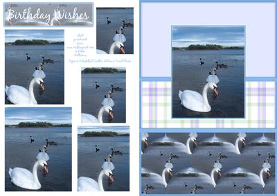 Swan Lake Pyramid