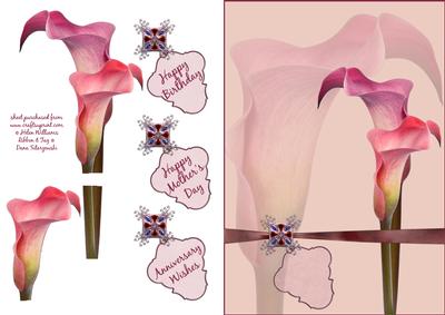 Cala Lily Step by Step