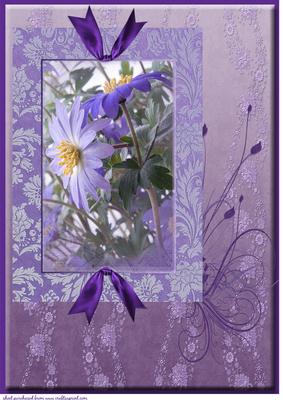 Purple Anemone A4 Topper