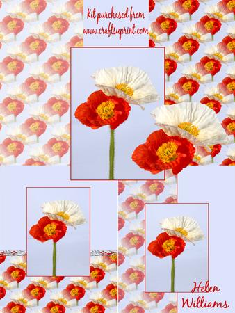 Poppy Duo Card Kit
