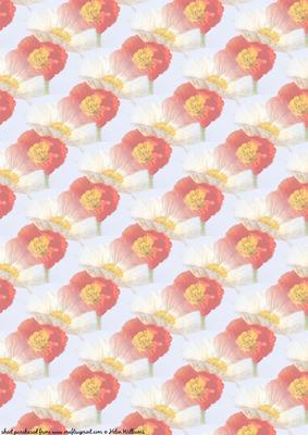 Poppy Duo Vellum