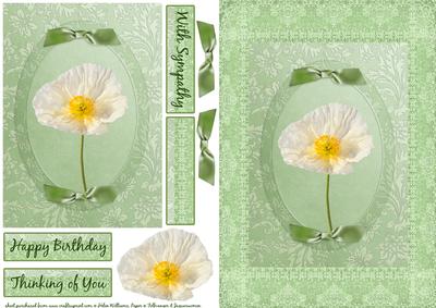 White Poppy on Pale Green Step by Step
