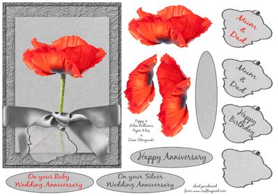 Poppy on Silver Step by Step
