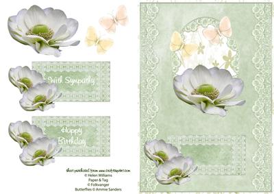 White Anemone on Pale Green Lace