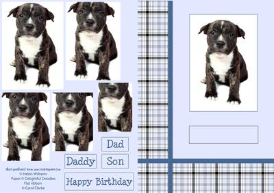 Puppy Pyramid Blue Check.