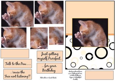 Talk to the Paw 'cause the Face Aint Listening Pyramid