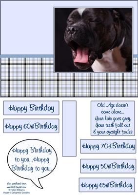 Staffie Old Age Doesn't Come Alone Card