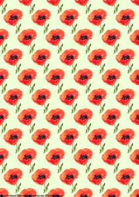 Poppy on Green Backing Paper