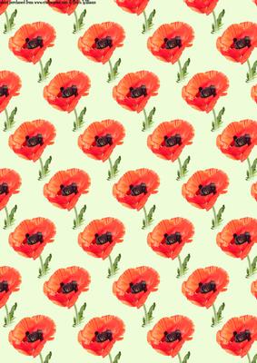Large Poppy on Green Background