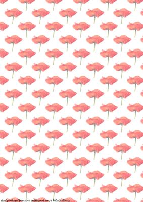 Single Poppy Vellum