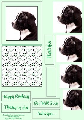 Puppy & Circles Pale Green Dl Pyramid