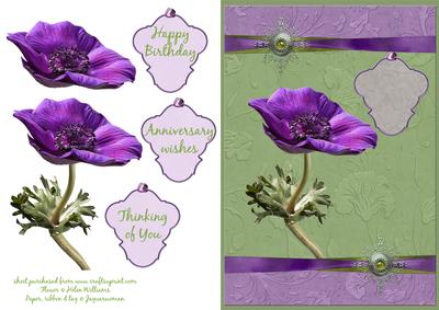 Purple Anemone Step by Step