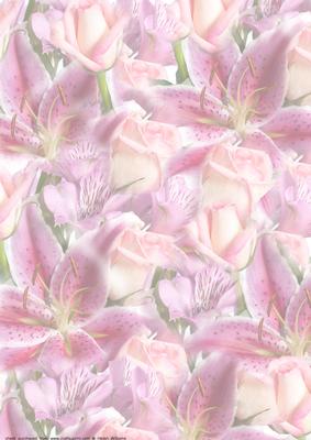 Lily & Rose Vellum