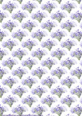 Californian Bluebell Vellum