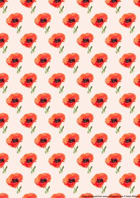 Poppy on Pink Background Paper