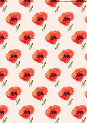 Poppy on Pink Background Large Flower