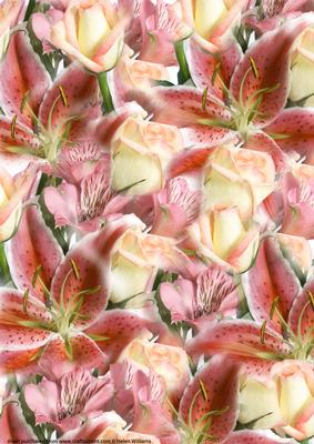 Lily & Rose Bouquet Paper in Peach