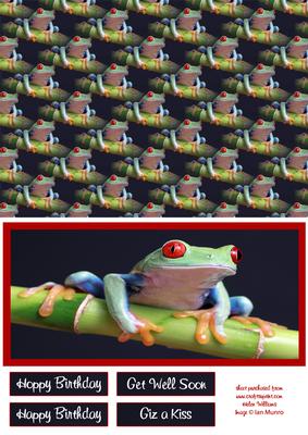 Green Tree Frog Two in One Card Front