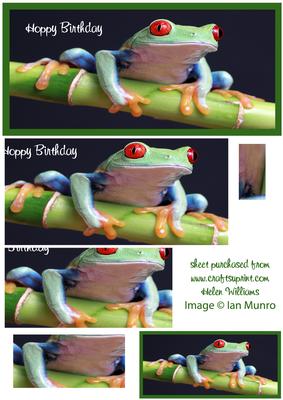 Green Tree Frog Dl Pyramid