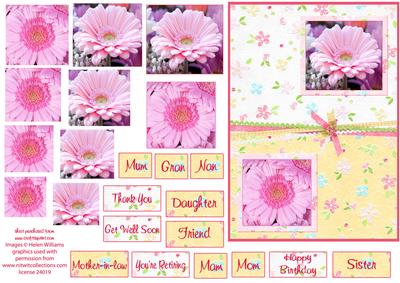 Pink Gerbera Double Pyramid