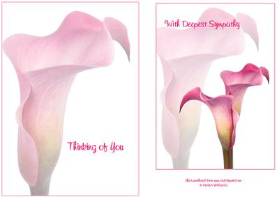 Cala Lily Sympathy Card Fronts