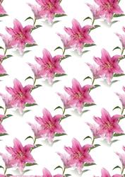 Pink Stargazer Lily Backing Paper