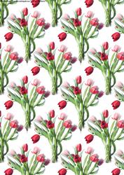 Red Tulips Background