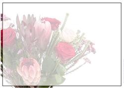 Rose & Protea Bouquet Insert Portrait Cards