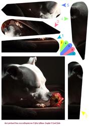 Staffordshire Bull Terrier Fan Sheet