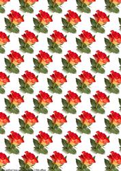 Rose Backing Paper
