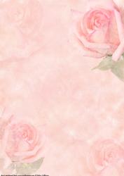 Pink Rose Dream Paper/vellum