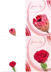 Floral Swoosh Notelet 1