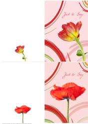 Floral Swoosh Notelet 2