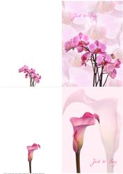 Floral Dream Notelets 4