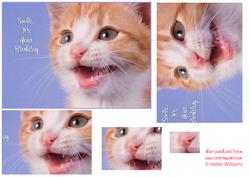 Smile It's Your Birthday 7x5inch Kitten Pyramid