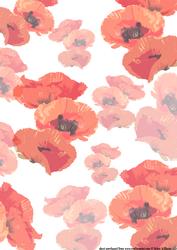 Poppy Paper