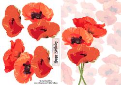 Poppy Art Trio Step by Step