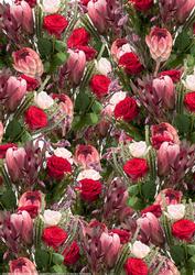 Rose & Protea Bouquet Background Paper