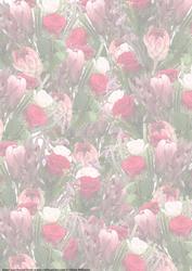 Rose & Protea Vellum
