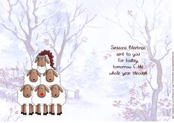 Sheep Christmas Insert 'seasons Bleetings'