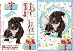 Image of cup155559_443 - Staffie Christmas Card in Blue