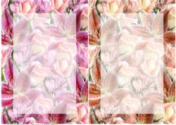 Two Floral Bouquet Card Base