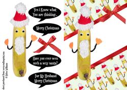 Santa Banana Christmas
