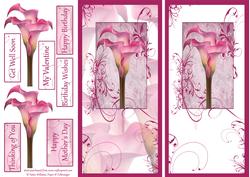 Cala Lily Floral Swirl Dl Card Fronts