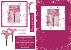 Cala Lily Raspberry Swirl Step by Step