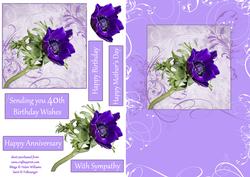 Purple Anemone Swirl Card