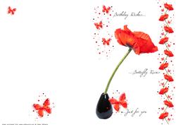 Poppy & Butterfly Wishes Quick Card