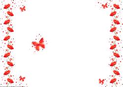 Poppy & Buterfly Wishes Insert/backing Paper