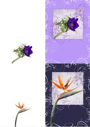 Floral Swirl Notelets 'the Purples'